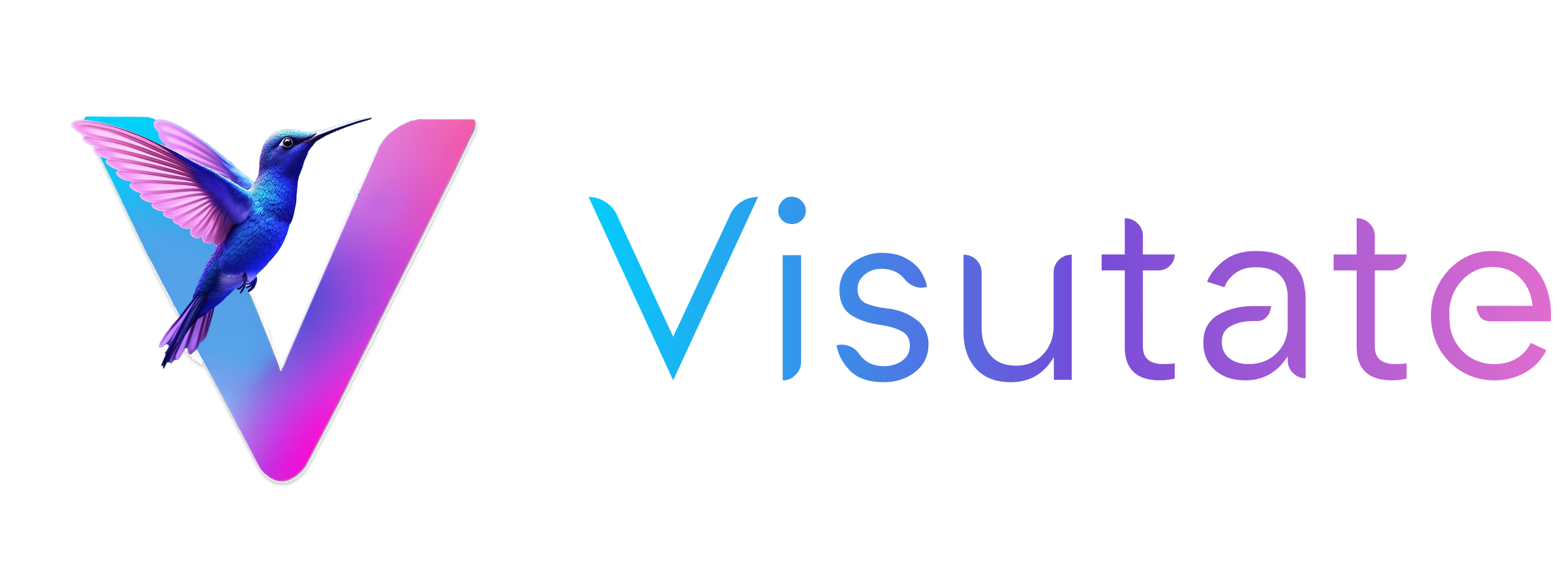 Visutate Logo